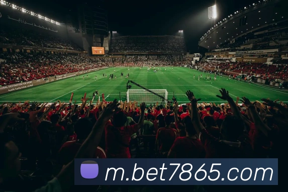 bet365com服务体系